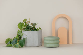 Hexagon Planter - 4": Raw Concrete with White Paint