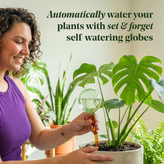 Self-Watering Plant Globes