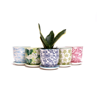 Liberte  Indoor plant pots with drainage 3 & 5 inch planter: Blue Leaves / 3.25"