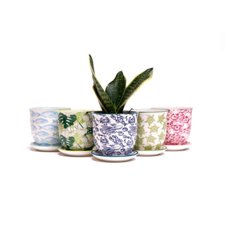 Liberte Indoor Porcelain Plant Pots