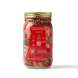 Holiday Herb Garden Jar: Comfort & Joy