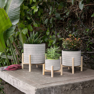 Planter & Wood Stand Ceramic Tribal Geometric - Ivory, 6 in.
