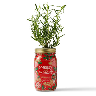 Holiday Herb Garden Jar: Comfort & Joy