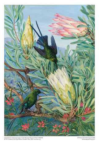 Adult Jigsaw Puzzle Kew Gardens' Marianne North: Honeyflowers and Honeysuckers by: Jigsaw; 1 pages / English