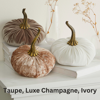Pumpkin Small Velvet Fall Decor Gift for New Apartment Best: Fall Floral
