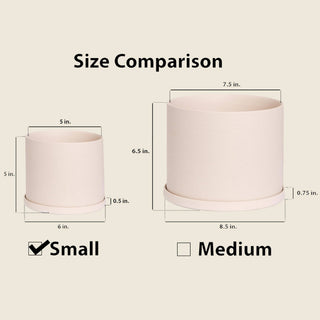 Small Beige Pot with Saucer