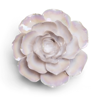 Premium Ceramic Flowers - Handcrafted Box Pearl Ranunculus