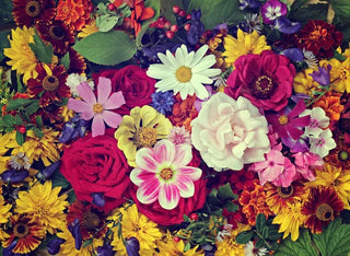 Designer's Choice - $100 Arrangement