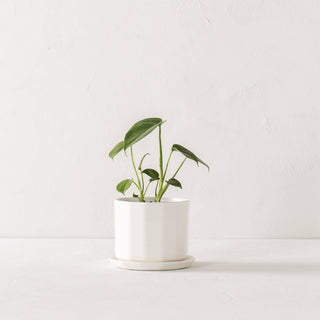 5" Riveted Planter | Porcelain