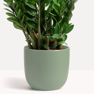 Ceramic Egg Planter (White, Grey, Pink, Green, Blue+)