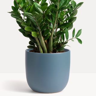 Ceramic Egg Planter (White, Grey, Pink, Green, Blue+)