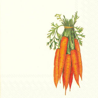 Paper Cocktail Napkins Pack Carrots Easter