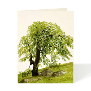 Oak Hill - Everyday Card