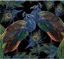 Peacocks on Black Lunch Paper Napkins
